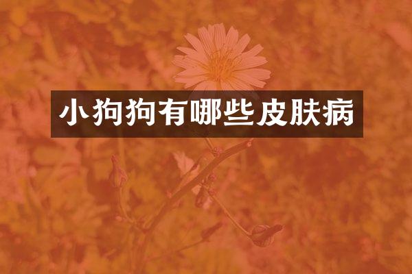 小狗狗有哪些皮肤病