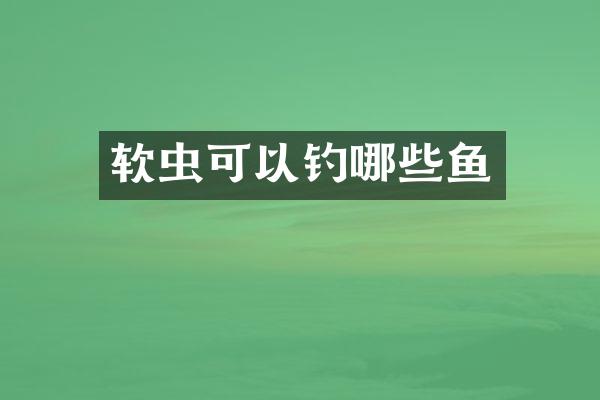 软虫可以钓哪些鱼