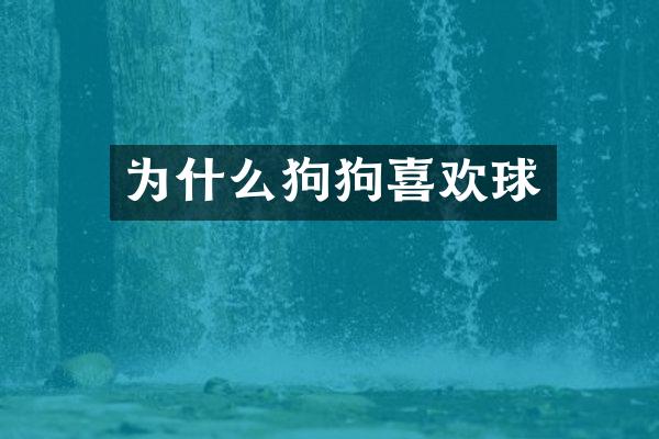 为什么狗狗喜欢球