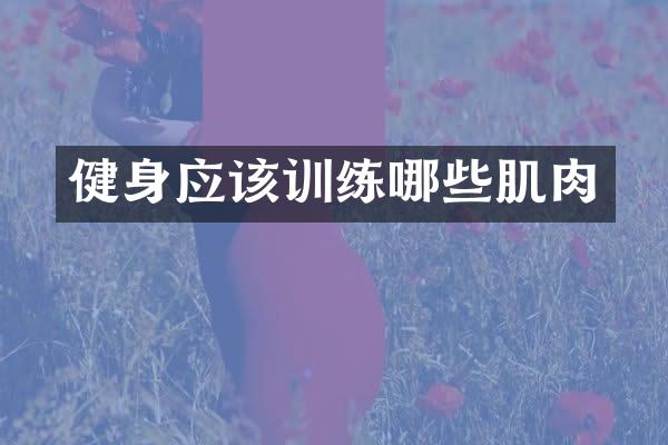 健身应该训练哪些肌肉