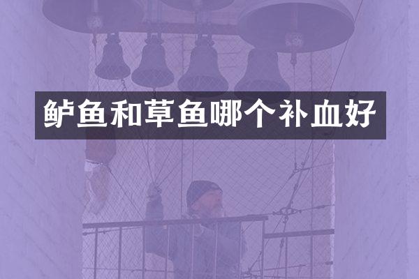 鲈鱼和草鱼哪个补血好