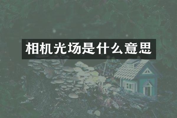 相机光场是什么意思