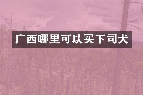 广西哪里可以买下司犬