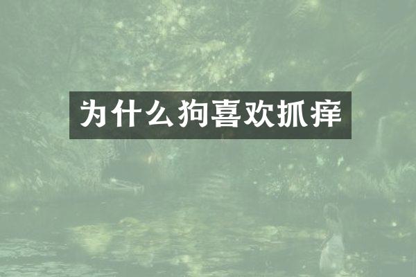 为什么狗喜欢抓痒