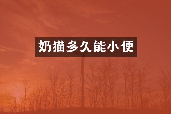 奶猫多久能小便