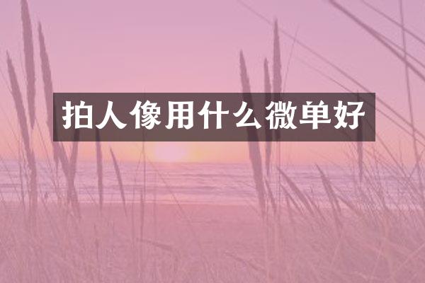 拍人像用什么微单好