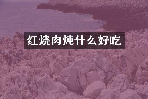 红烧肉炖什么好吃