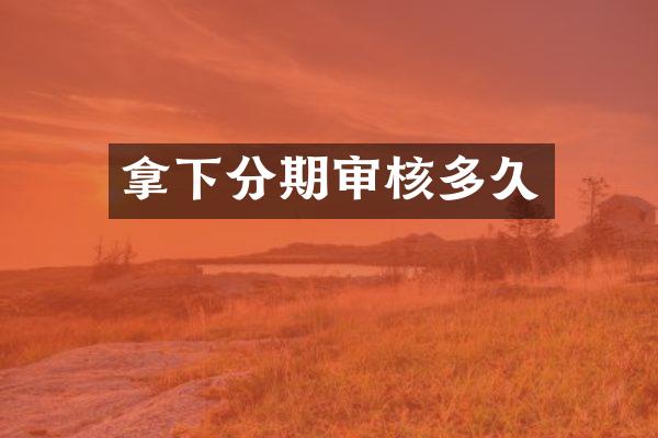 拿下分期审核多久