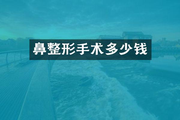 鼻整形手术多少钱