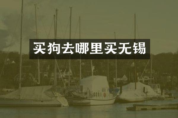 买狗去哪里买无锡
