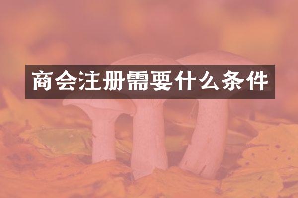 商会注册需要什么条件