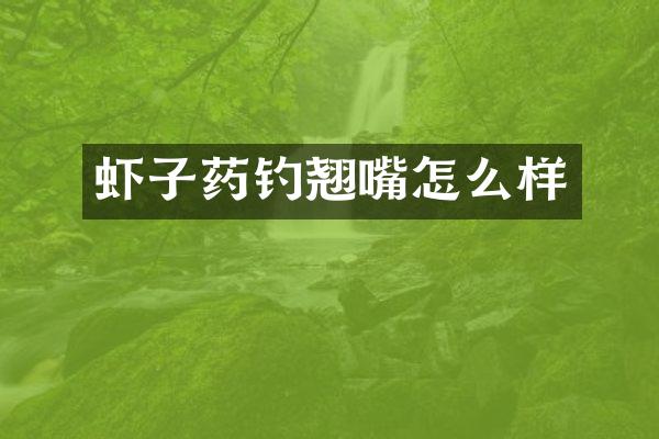 虾子药钓翘嘴怎么样