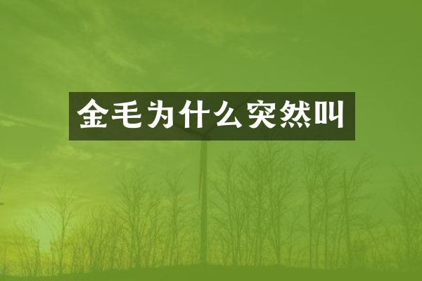 金毛为什么突然叫