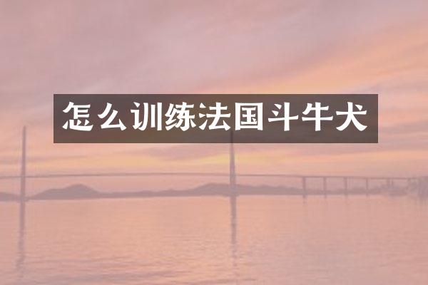 怎么训练法国斗牛犬
