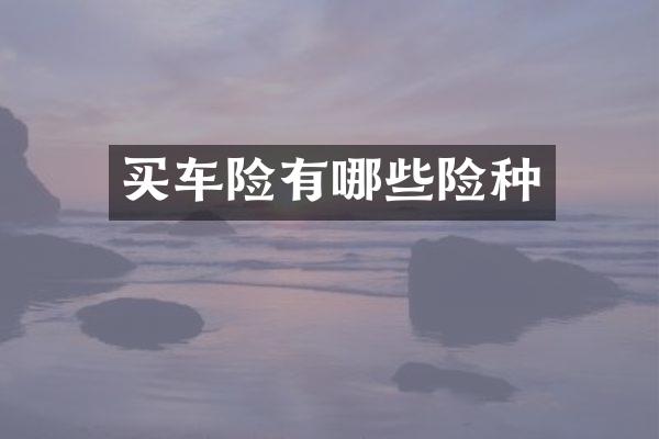 买车险有哪些险种