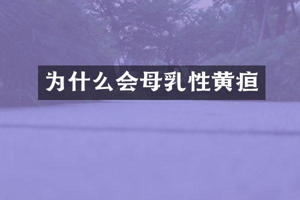 为什么会母乳性黄疸
