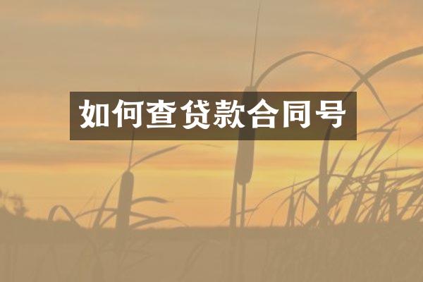 如何查贷款合同号
