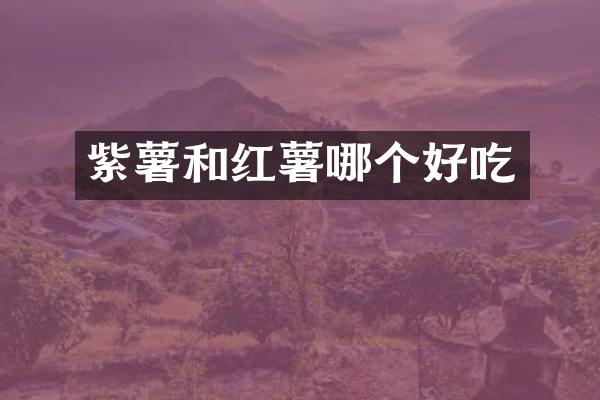 紫薯和红薯哪个好吃