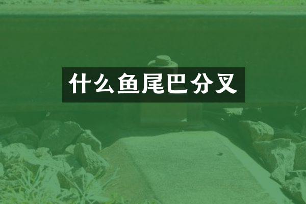 什么鱼尾巴分叉