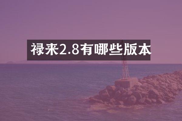 禄来2.8有哪些版本