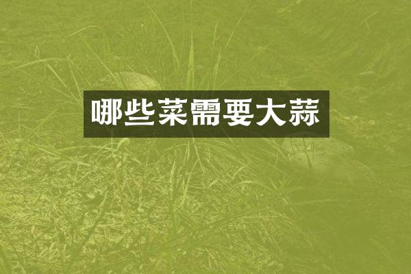 哪些菜需要大蒜