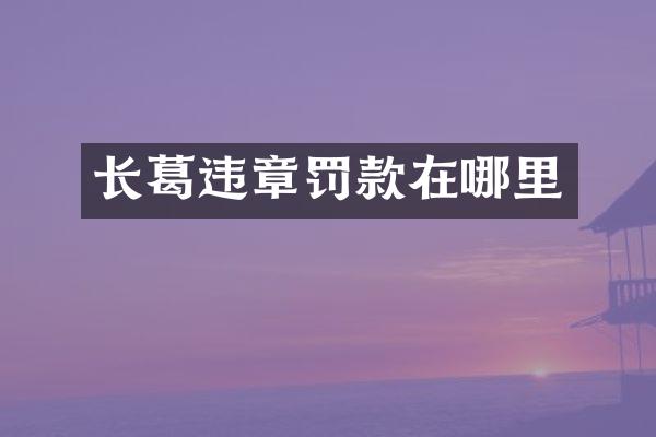 长葛违章罚款在哪里