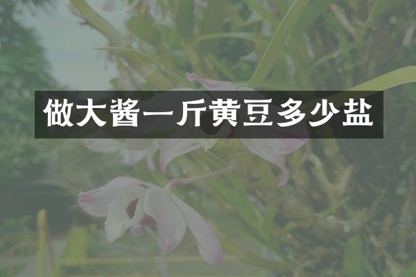 做大酱一斤黄豆多少盐