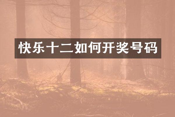 快乐十二如何开奖号码