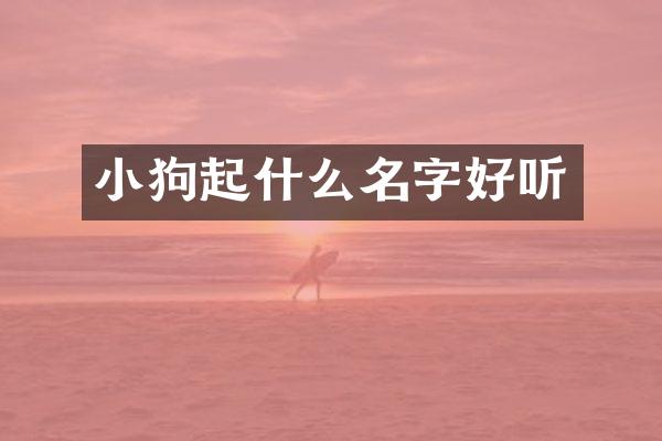 小狗起什么名字好听