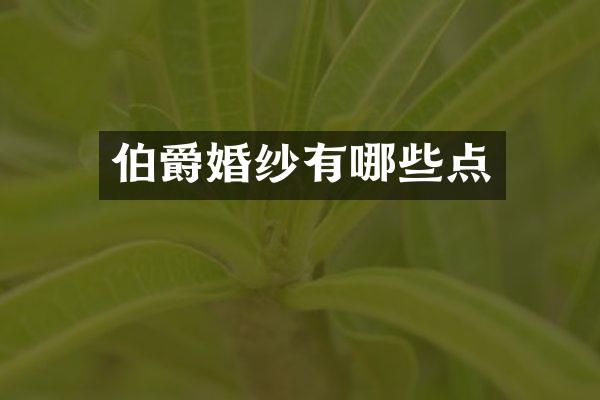 伯爵婚纱有哪些点