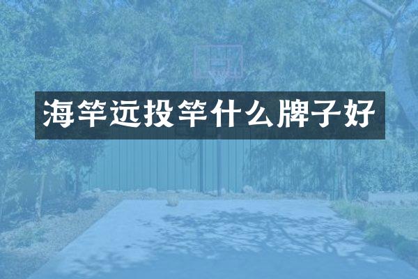 海竿远投竿什么牌子好