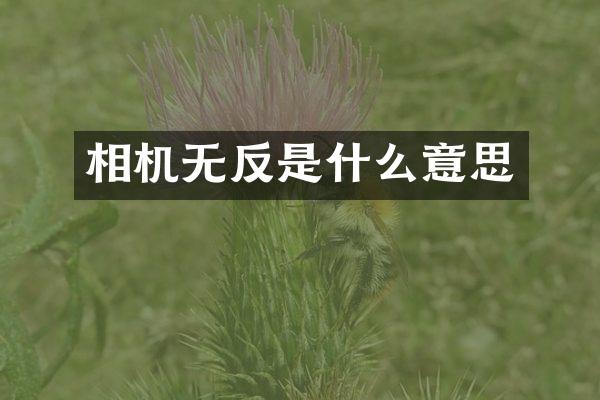 相机无反是什么意思