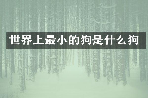 世界上最小的狗是什么狗