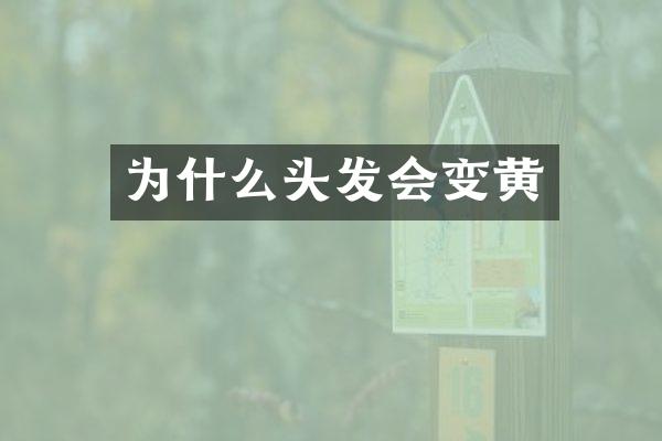 为什么头发会变黄