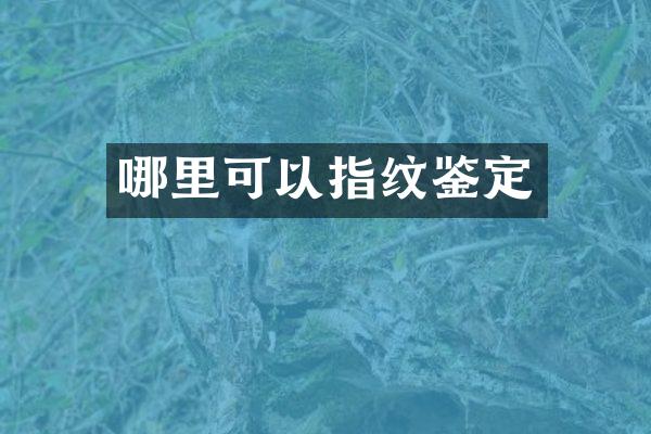 哪里可以指纹鉴定