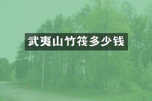 武夷山竹筏多少钱