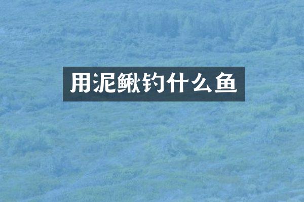 用泥鳅钓什么鱼