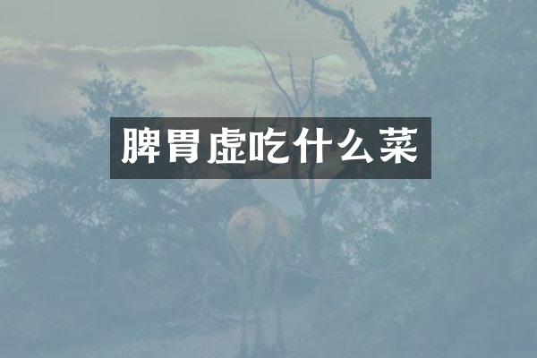 脾胃虚吃什么菜