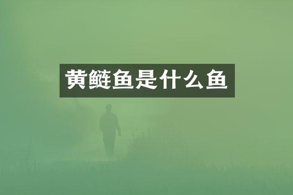 黄鲢鱼是什么鱼