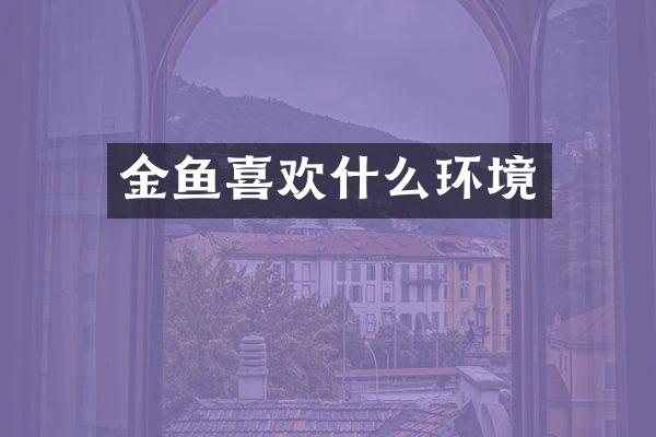 金鱼喜欢什么环境