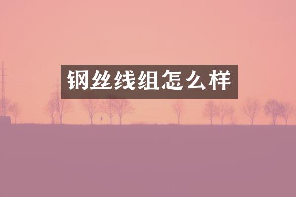 钢丝线组怎么样