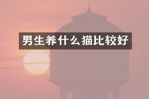 男生养什么猫比较好