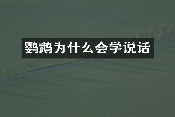 鹦鹉为什么会学说话