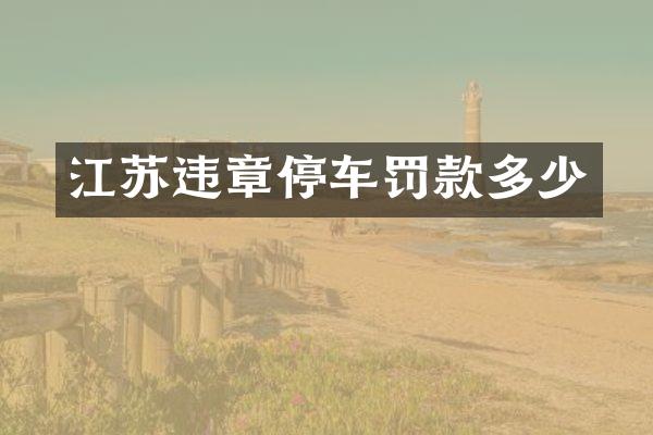 江苏违章停车罚款多少