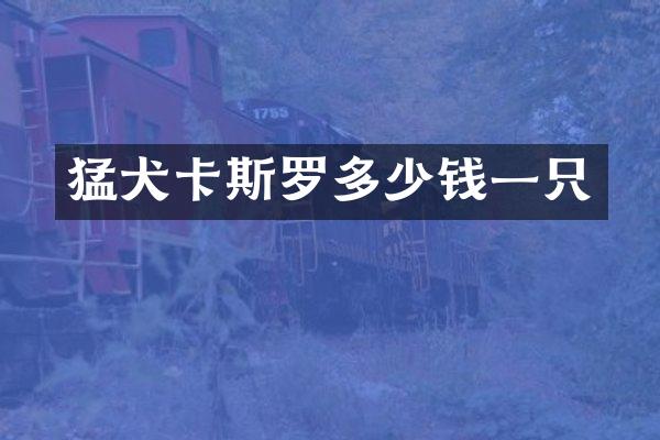 猛犬卡斯罗多少钱一只