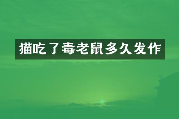 猫吃了毒老鼠多久发作