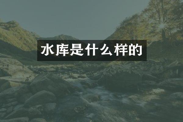 水库是什么样的