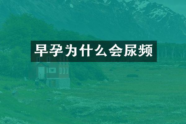 早孕为什么会尿频