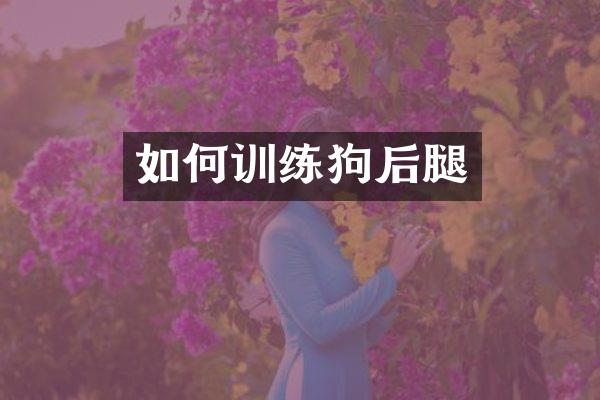 如何训练狗后腿