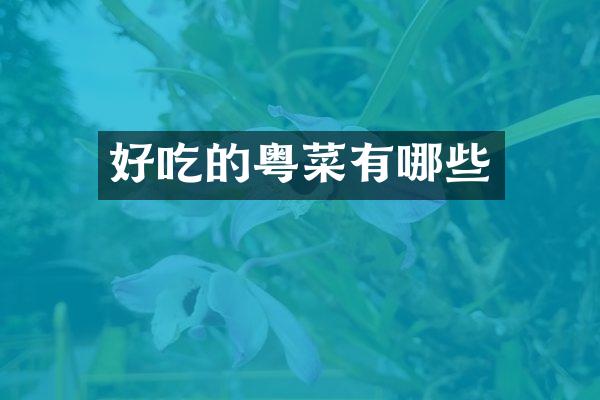 好吃的粤菜有哪些